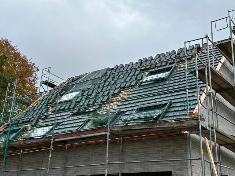 PHOTO-2022-10-19-10-23-50