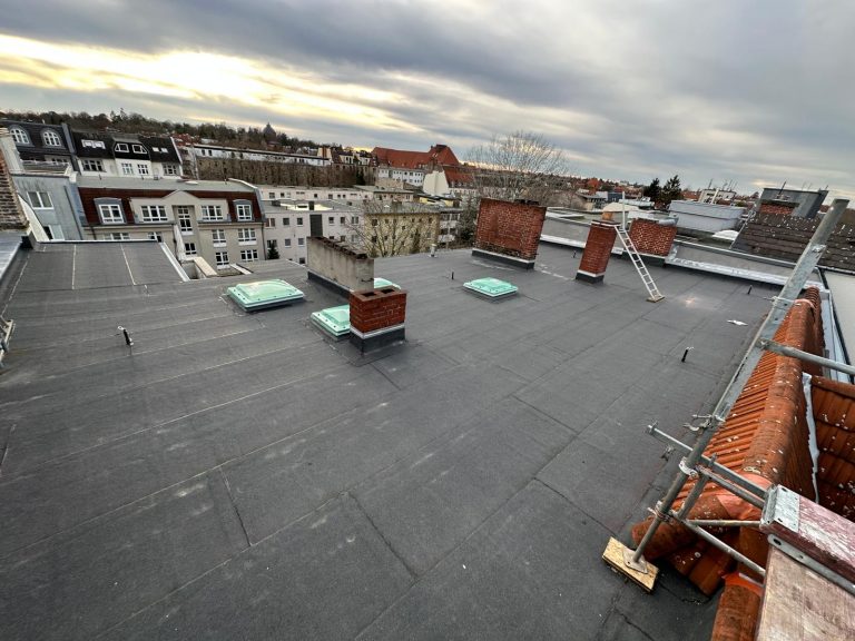 PHOTO-2023-01-16-15-16-26