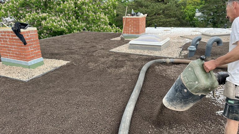 PHOTO-2023-05-23-12-20-21 2