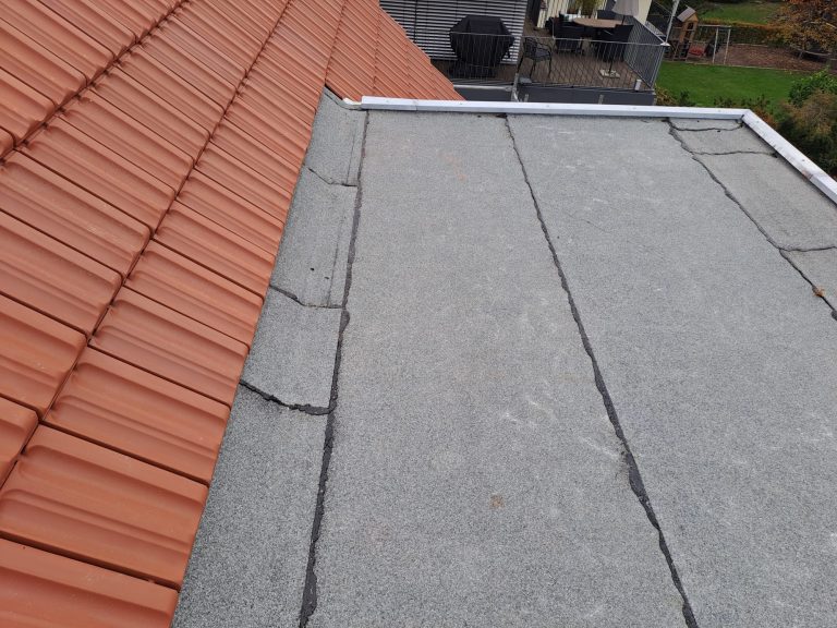 PHOTO-2023-12-07-17-34-26 2