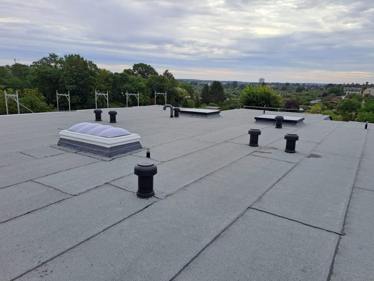 PHOTO-2023-12-07-17-34-35