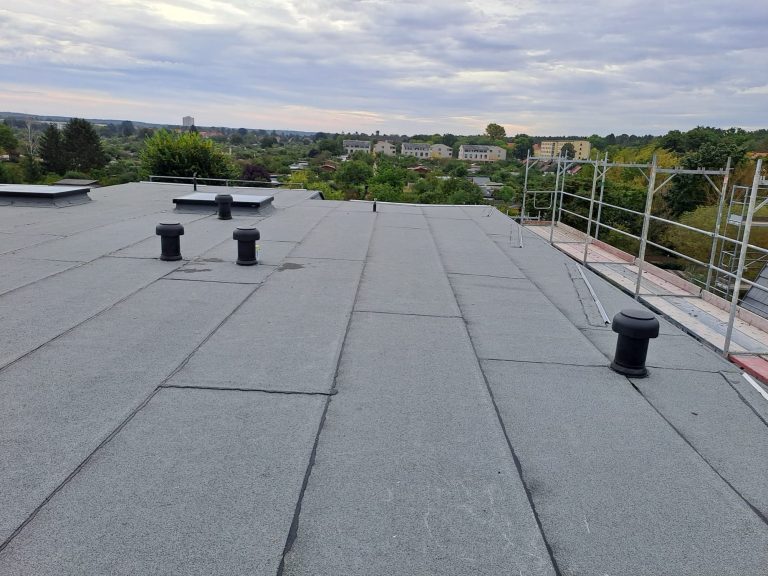 PHOTO-2023-12-07-17-34-35 3